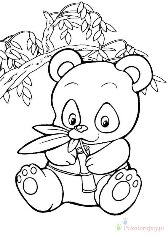 Mała panda z listkami bambusa Mała panda siedząca pod bambusem i trzymająca liście - kolorowanka