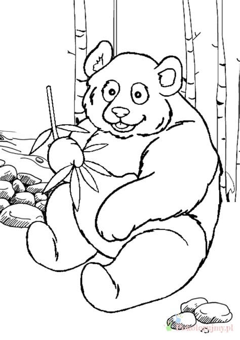 Panda siedząca w bambusowym lesie Panda siedząca z bambusem wśród bambusowych pędów - kolorowanka