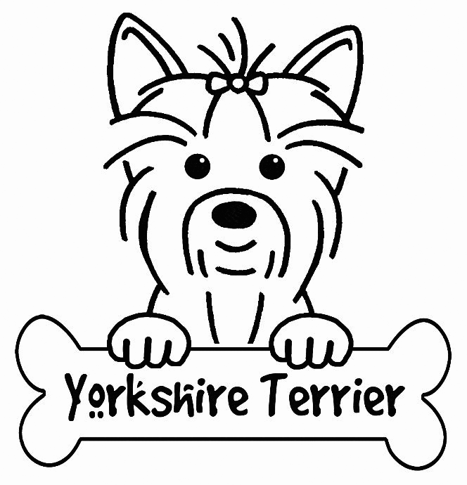 Yorkshire Terrier z kokardką i kością Głowa yorka z kokardką oparta o kość z napisem Yorkshire Terrier - kolorowanka